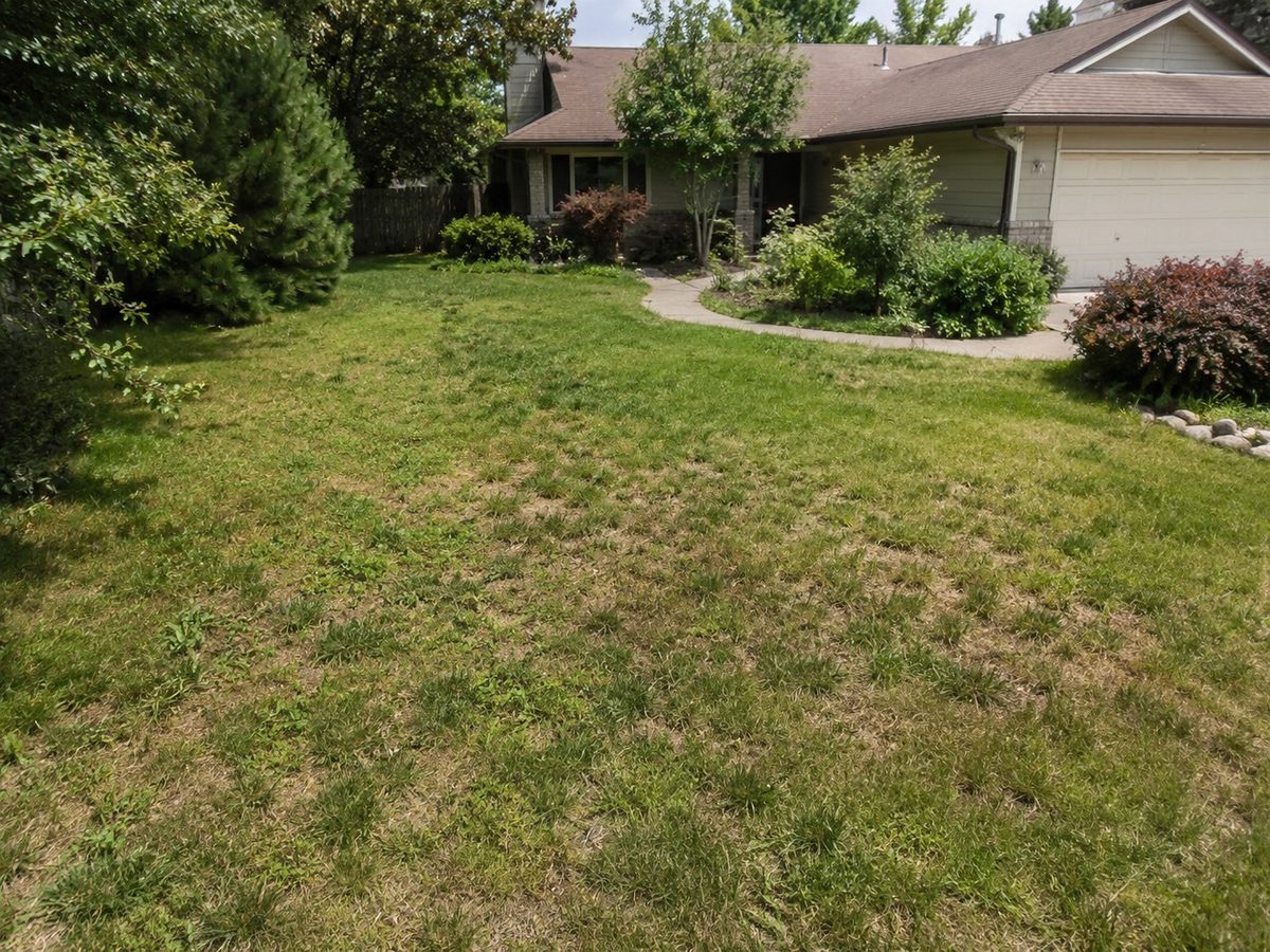Yard before landscaping